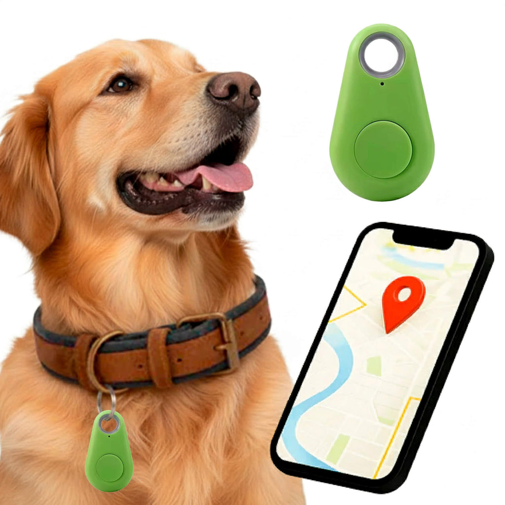 Wodoodporny lokalizator GPS dla zwierząt domowych działający w czasie rzeczywistym - Image 10