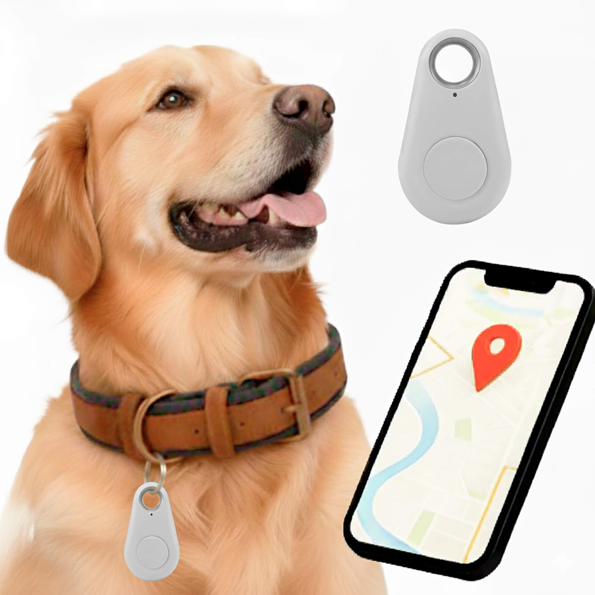 Wodoodporny lokalizator GPS dla zwierząt domowych działający w czasie rzeczywistym - Image 13