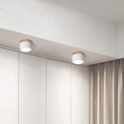 Nowoczesna lampa sufitowa LED cylindryczna – minimalistyczny plafon do salonu i sypialni